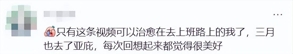 上海女生国外丢失手机<strong></p>
<p>比特儿海外版</strong>，找回后发现多了两段视频，网友：结局意想不到……