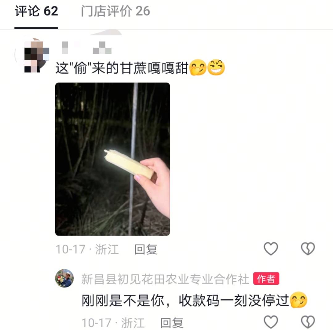浙江一“可偷甘蔗地”成打卡点<strong></p>
<p>下载比特儿</strong>,上百网友深夜体验,80后“地主”:已收偷款6千元