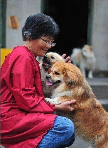 合肥卖房救助流浪狗的魏阿姨离世<strong></p>
<p>比特儿电话</strong>,病中仍然惦记着基地的600只流浪狗,工人:不敢相信世上还有这样执着的人