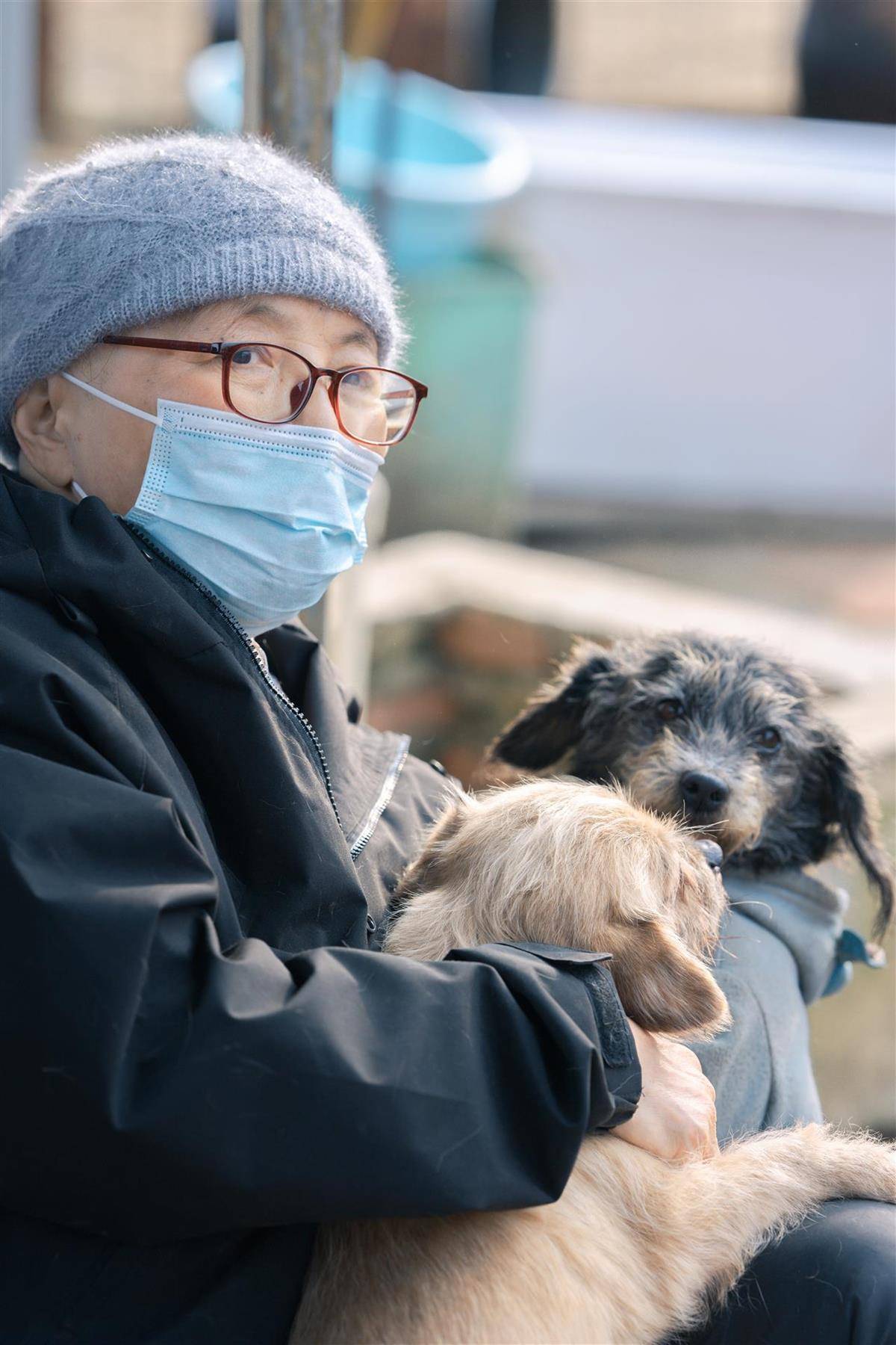 合肥卖房救助流浪狗的魏阿姨离世<strong></p>
<p>比特儿电话</strong>,病中仍然惦记着基地的600只流浪狗,工人:不敢相信世上还有这样执着的人