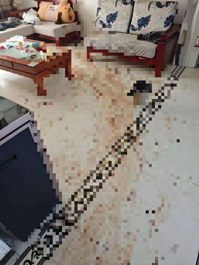 “女子出租屋遭男友持刀杀害”案明日开庭<strong></p>
<p>比特儿暂停</strong>，家属发声：凶手从未道歉，我们不会谅解