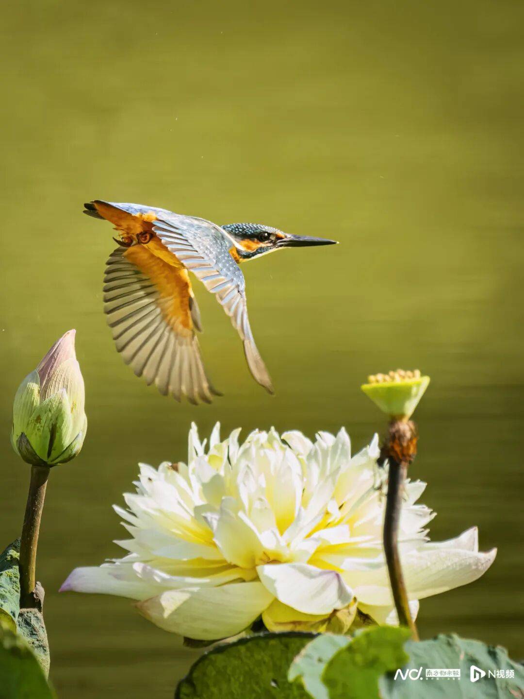 东莞最新发布:将严厉打击这些行为<strong></p>
<p>比特儿暂停</strong>!