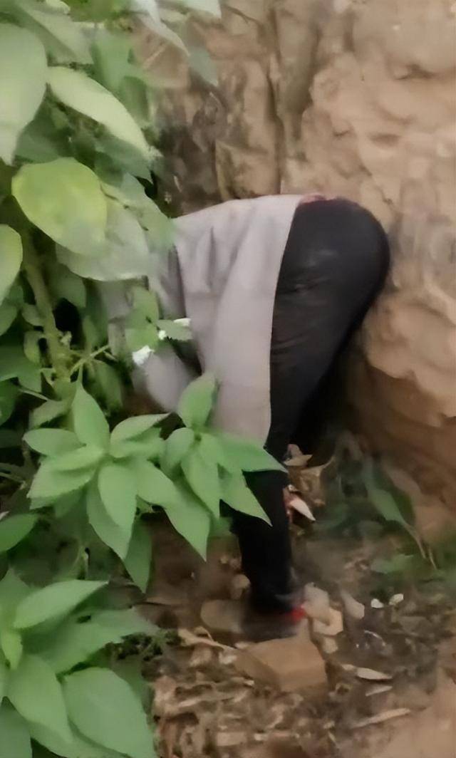 陕西一女子疑因拍亲姑姑偷玉米遭姑父棍杀<strong></p>
<p>畅u虚拟币</strong>,邻居欲报警也遇害