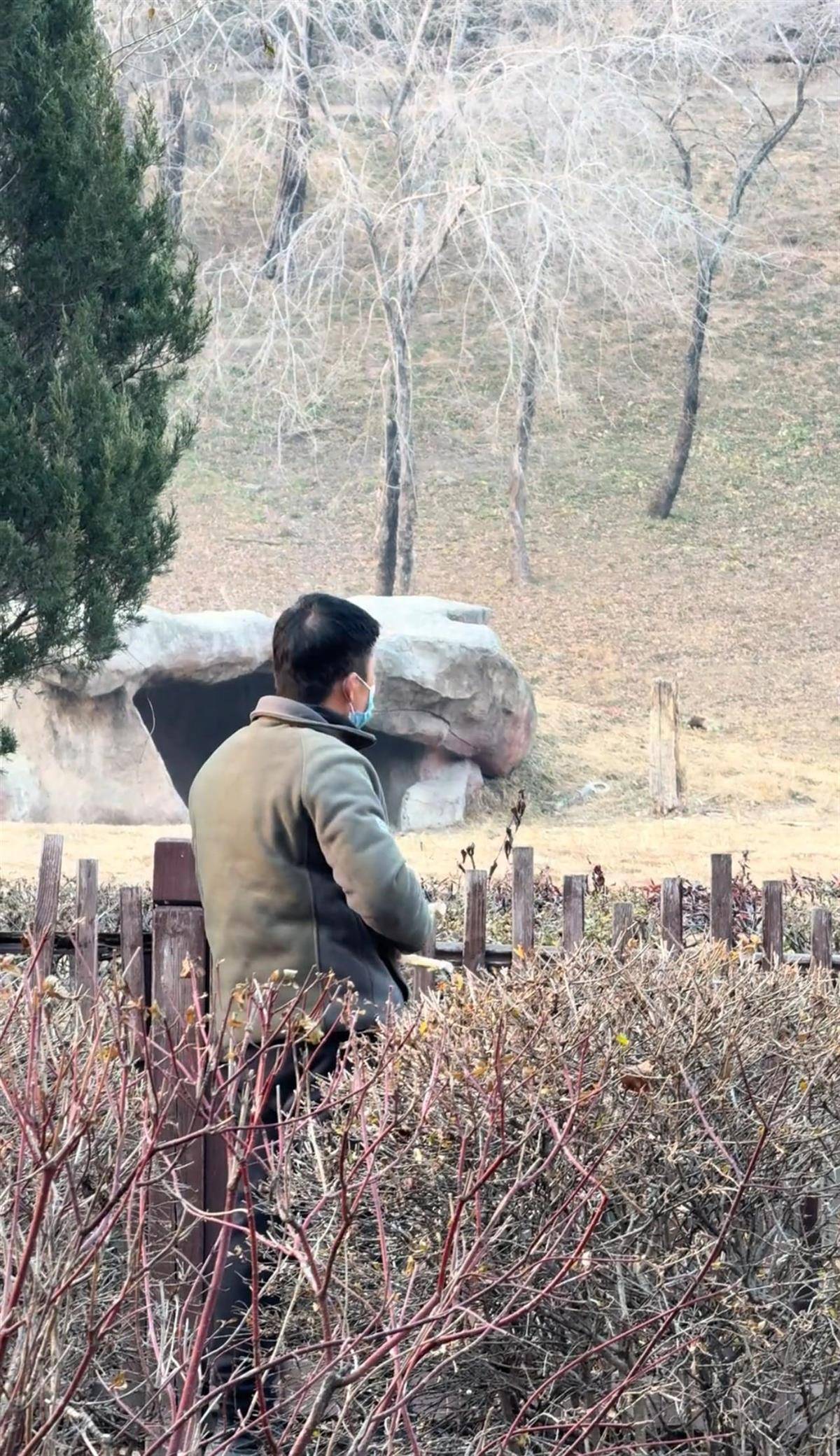 沈阳一男子动物园内用弹弓射老虎<strong></p>
<p>一键哥虚拟币</strong>,目击者称其“填装了弹丸”,打完后老虎爬起来了,园方:正在核实情况