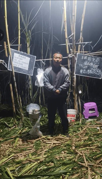 四川眉山自助“偷甘蔗”老板称有人只“偷”不给钱，当地文旅：已安排人员现场协调