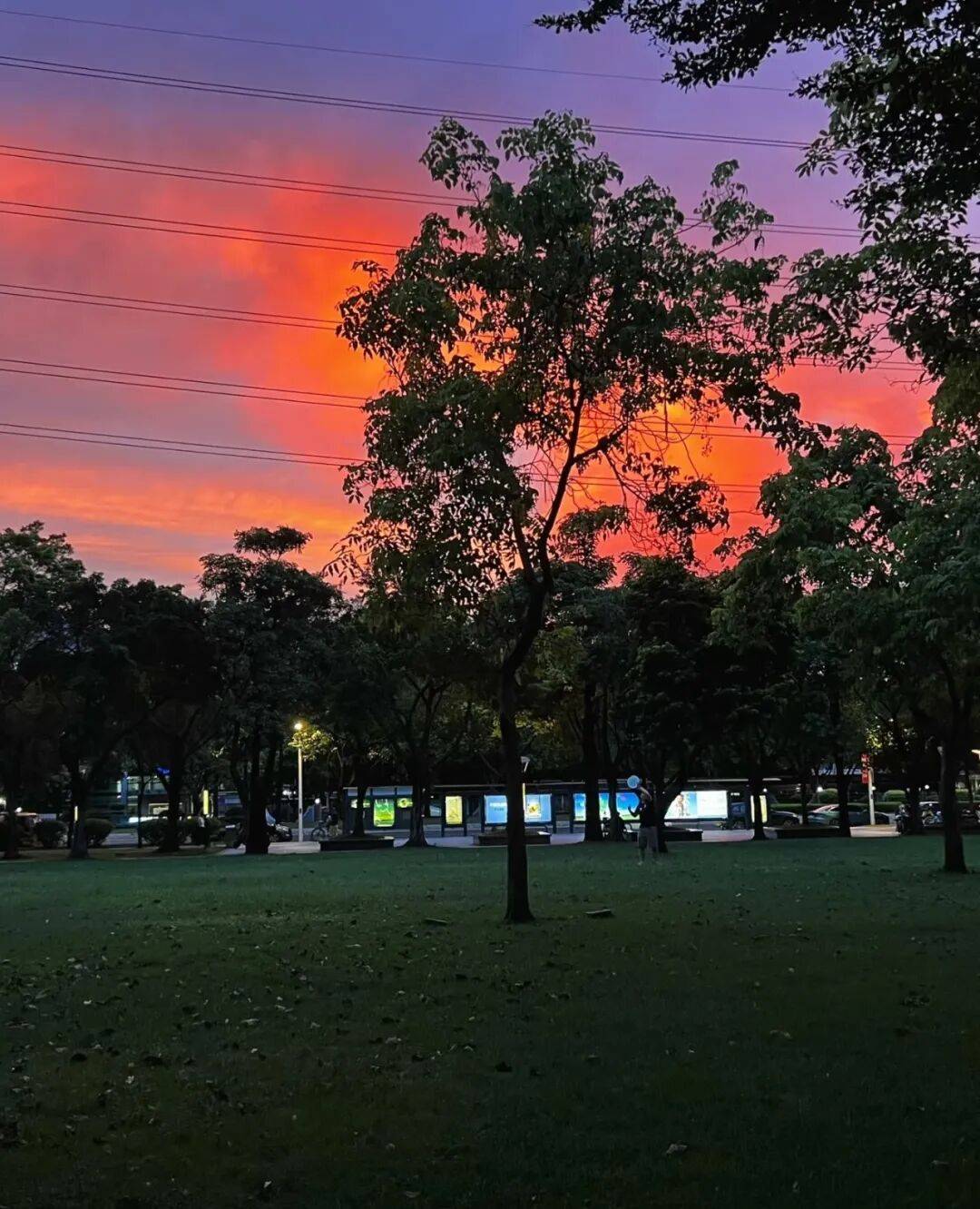 第一批丁克老后<strong></p>
<p>一键哥虚拟币</strong>,“伴侣能陪一程,但最后都要靠自己”