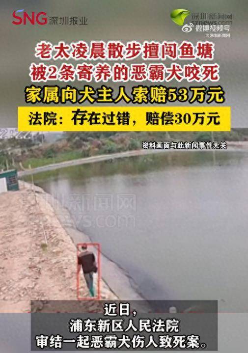 老太凌晨擅闯鱼塘被2条恶霸犬咬死<strong></p>
<p>一键哥虚拟币</strong>,家属索赔53万,法院判决!