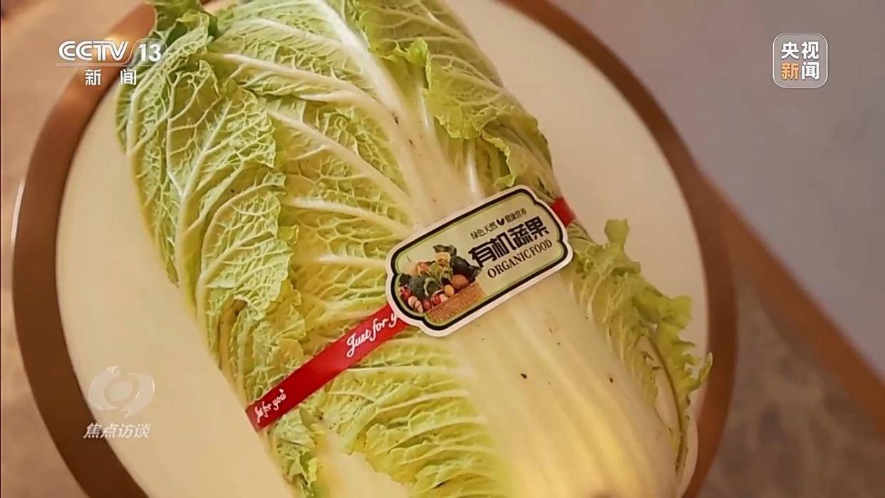 单棵售价超百元<strong></p>
<p>虚拟网领币</strong>,起底“套牌白菜”背后的销售套路