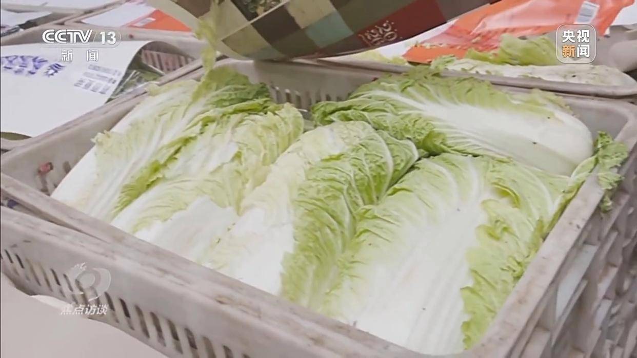 单棵售价超百元<strong></p>
<p>虚拟网领币</strong>,起底“套牌白菜”背后的销售套路