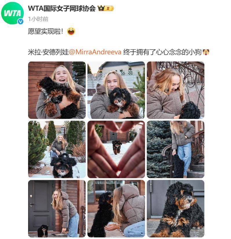 “小米辣”终于有了自己的小狗!曾说养狗是赢球的动力<strong></p>
<p>虚拟网领币</strong>,WTA官方发“贺信”:愿望实现啦!