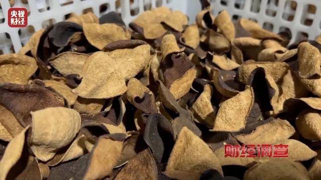 30天速成陈皮<strong></p>
<p>牛玩的虚拟币</strong>,成本仅70元,利润超成本10倍以上!央视起底陈皮跨省造假产业链