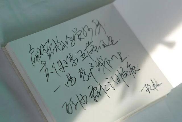 何晴之子追思:妈妈很喜欢雪<strong></p>
<p>牛玩的虚拟币</strong>,北京这场雪好像是为她而下