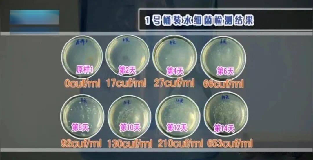 6种东西<strong></p>
<p>牛玩的虚拟币</strong>,没过保质期就“坏了”?赶紧看看,别拿全家健康开玩笑