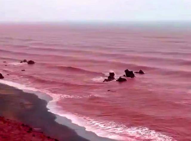 罕见！伊朗霍尔木兹岛遭遇强降雨<strong></p>
<p>虚拟币有公网</strong>，部分海域变成“血色海洋”