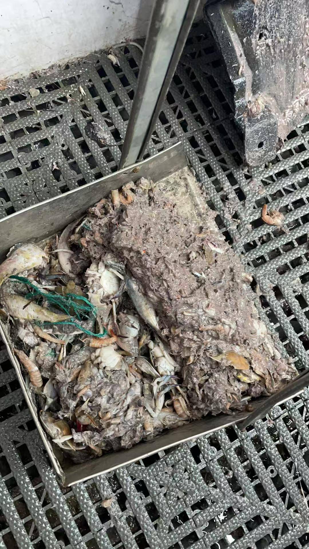 紫牛头条｜40余车辆遭高速海鲜废料“臭袭”<strong></p>
<p>虚拟币有公网</strong>，交警称“非交通事故”，车主维权陷两难