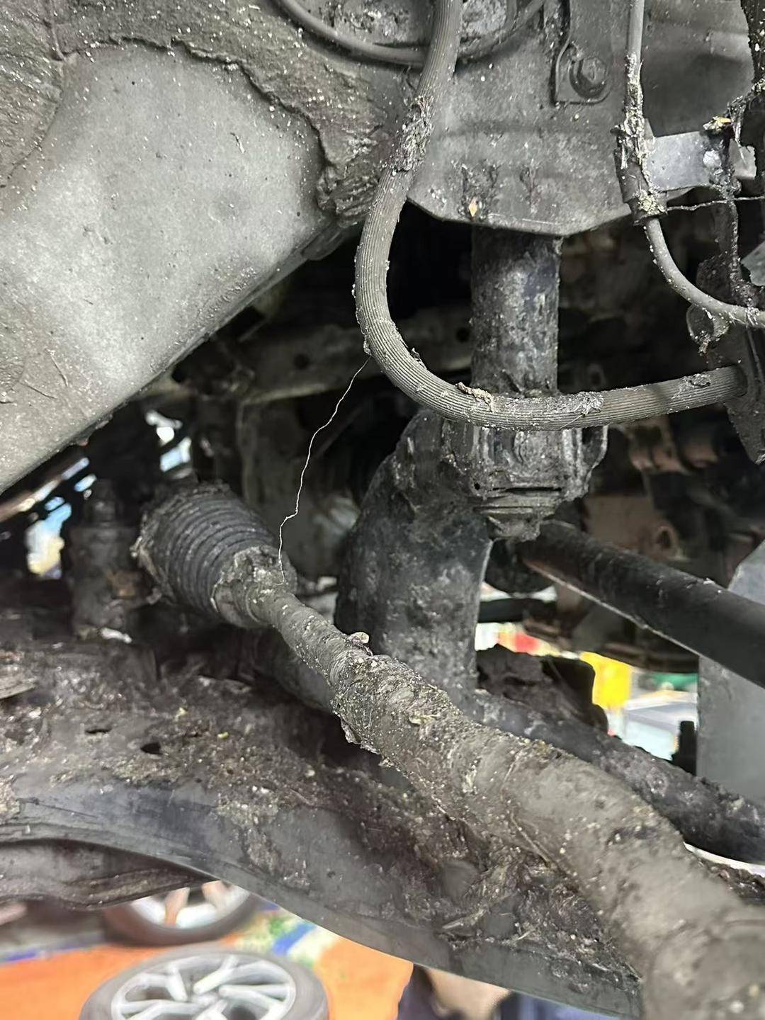 紫牛头条｜40余车辆遭高速海鲜废料“臭袭”<strong></p>
<p>虚拟币有公网</strong>，交警称“非交通事故”，车主维权陷两难