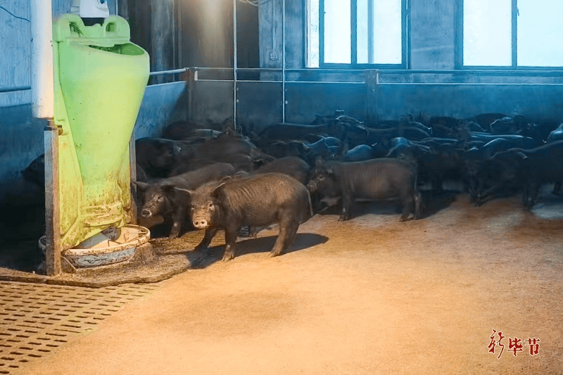 科技创新与产业发展“比翼双飞”