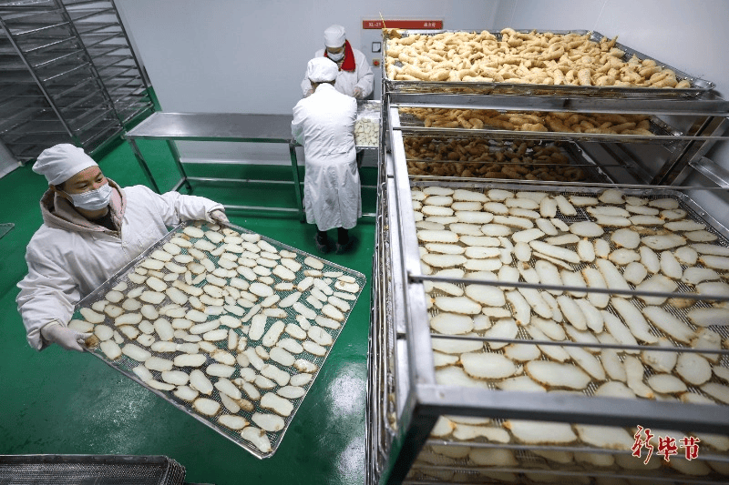 科技创新与产业发展“比翼双飞”