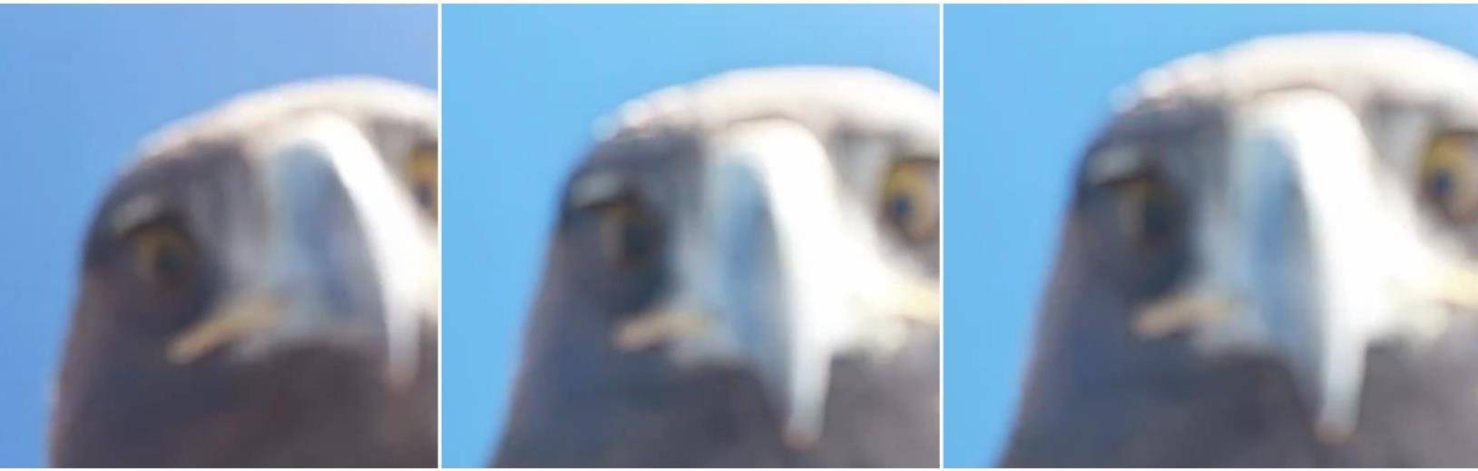 土耳其老鹰空中抓走无人机<strong></p>
<p>虚拟币美金</strong>，带上山顶“玩自拍”