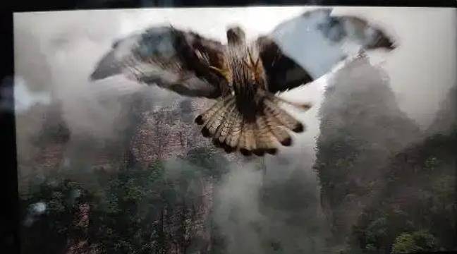 土耳其老鹰空中抓走无人机<strong></p>
<p>虚拟币美金</strong>，带上山顶“玩自拍”