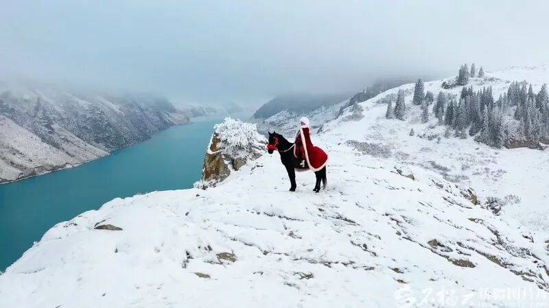 贺娇龙已安葬于昭苏公墓<strong></p>
<p>tlp虚拟币</strong>，其父亲亦葬于此地