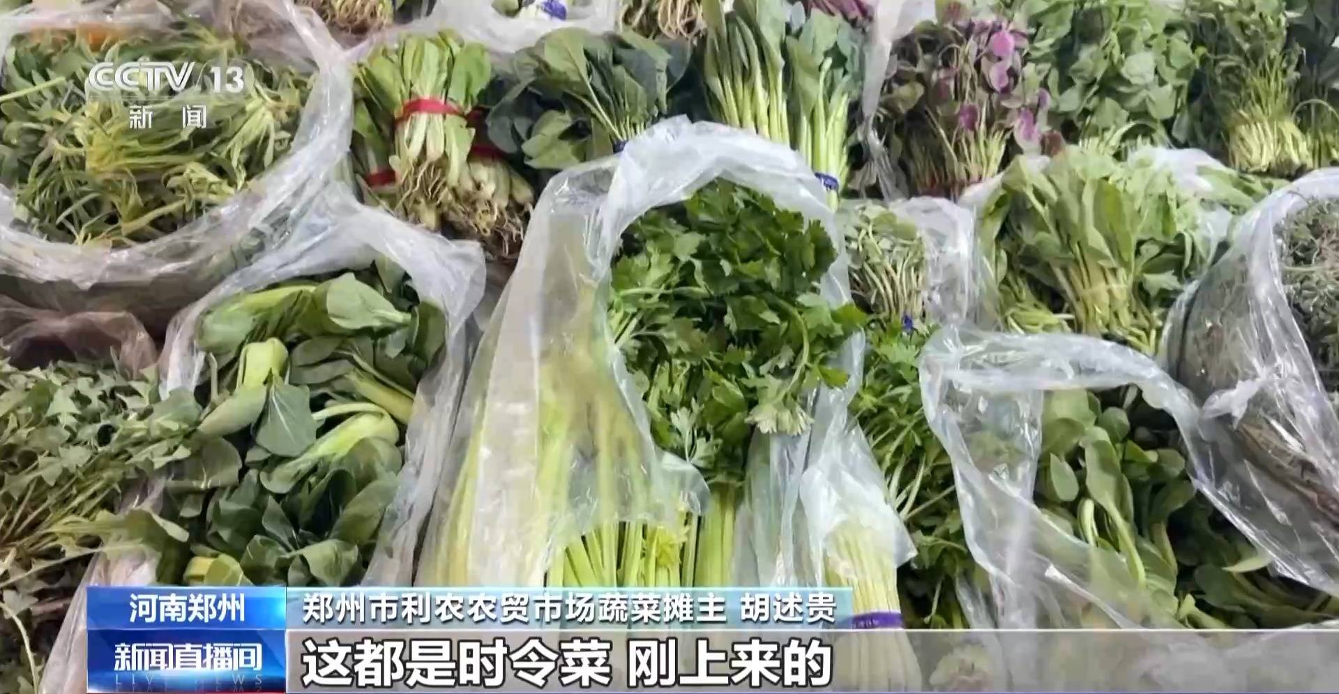 蒸、煎、拌、酿……一口鲜菜如何“锁”住春天<strong></p>
<p>虚拟币挤兑</strong>?