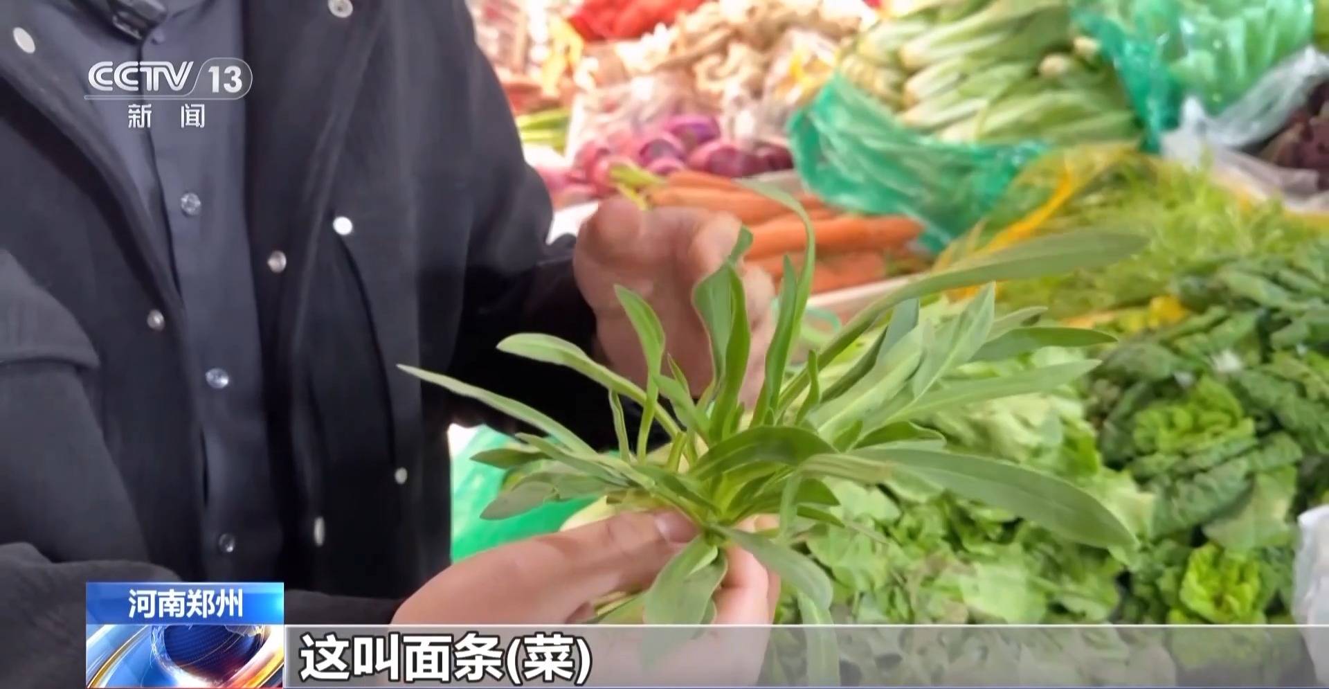 蒸、煎、拌、酿……一口鲜菜如何“锁”住春天<strong></p>
<p>虚拟币挤兑</strong>?